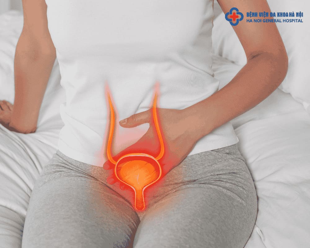Tại sao phụ nữ lại dễ mắc viêm đường tiết niệu hơn nam giới?