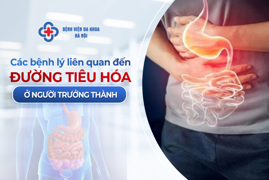 bệnh tiêu hóa phổ biến