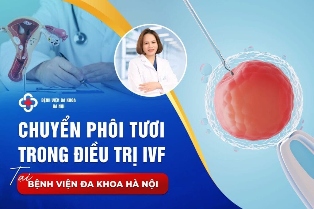 chuyển phôi tươi