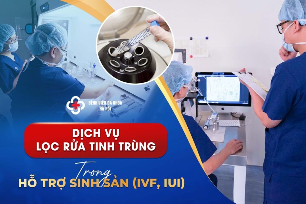 Dịch Vụ Lọc Rửa Tinh Trùng Trong Hỗ Trợ Sinh Sản (IVF, IUI)