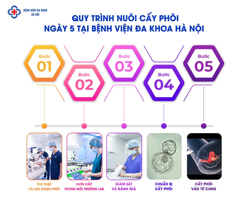 Quy trình nuôi phôi chuyên nghiệp theo chuẩn quốc tế tại IVF Hà Nội