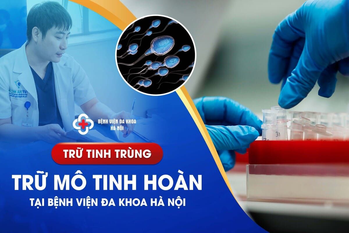 Trữ Tinh Trùng, Trữ Mô Tinh Hoàn Tại Bệnh Viện Đa Khoa Hà Nội
