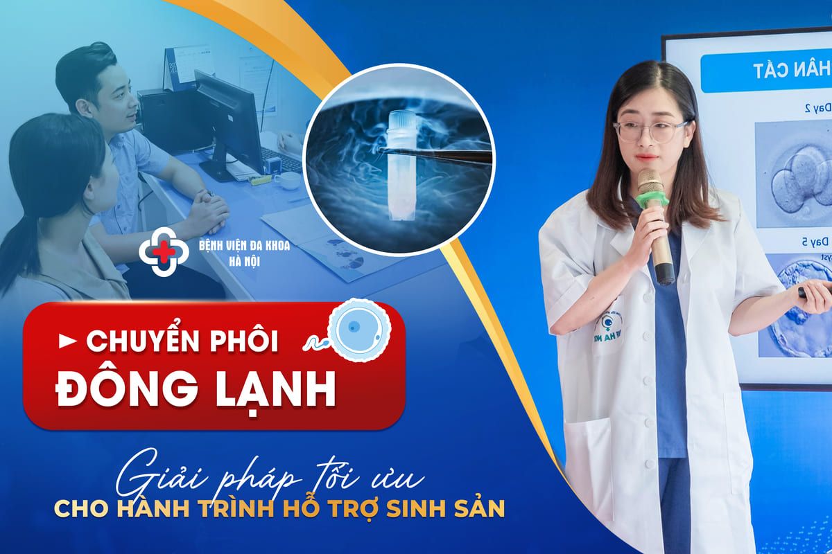 Chuyển Phôi Đông Lạnh - Giải Pháp Tối Ưu Cho Hành Trình Hỗ Trợ Sinh Sản