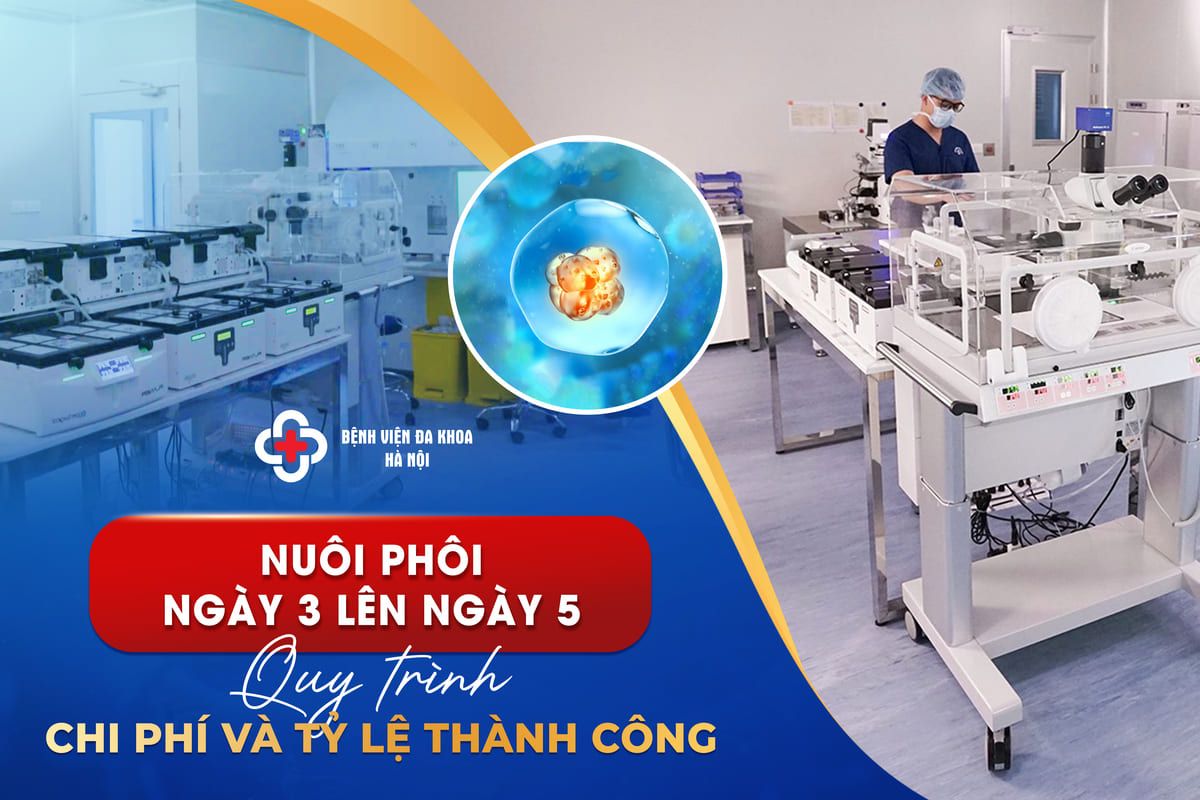 Nuôi phôi ngày 3 lên ngày 5: Quy trình, chi phí và tỷ lệ thành công
