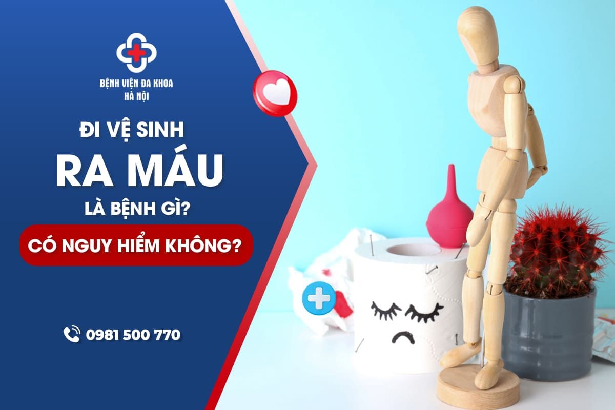 Đi Vệ Sinh Ra Máu Là Bị Bệnh Gì? Có Cần Đi Khám Bác Sĩ?