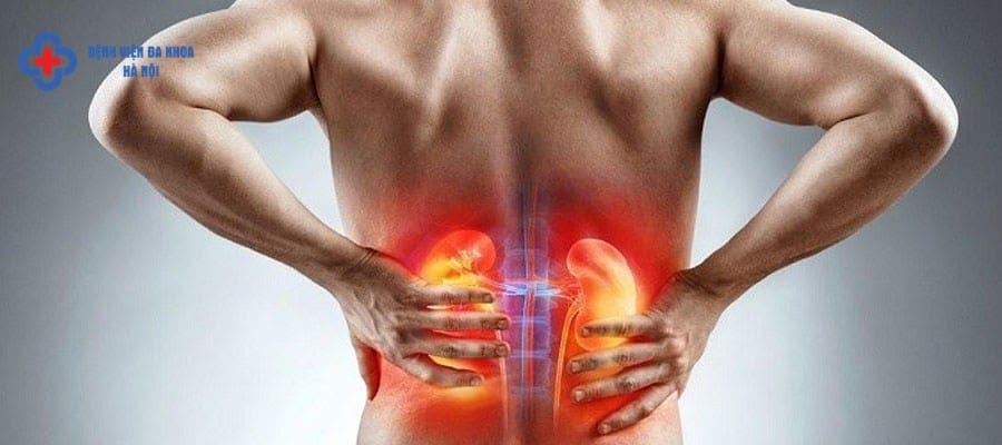 Nên khám thận ở bệnh viện nào tại Hà Nội? Nên khám thận ở bệnh viện nào tại Hà Nội?
