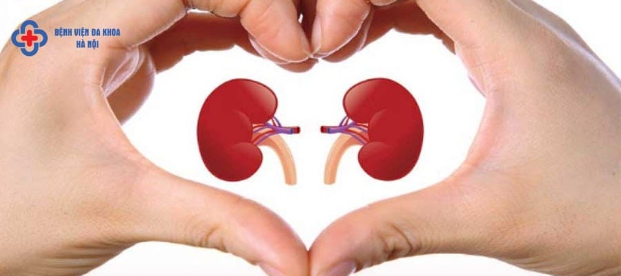 Nguyên nhân và cách điều trị bệnh sỏi thận Nguyên nhân và cách điều trị bệnh sỏi thận