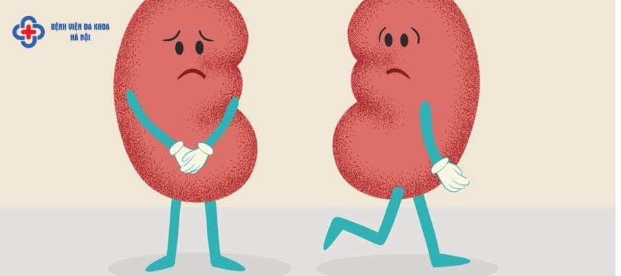 Nên xét nghiệm chức năng thận ở đâu là vấn đề cực kỳ quan trọng Nên xét nghiệm chức năng thận ở đâu là vấn đề cực kỳ quan trọng