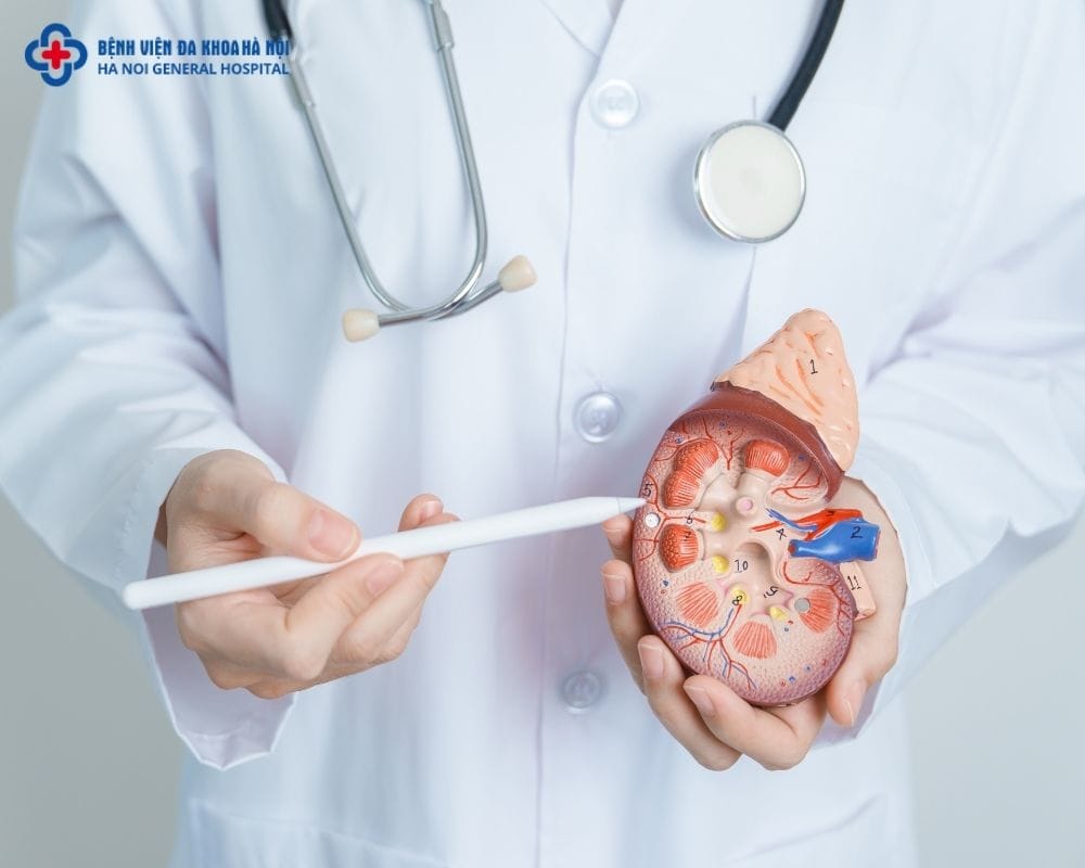 Sỏi thận thường đau ở đâu?