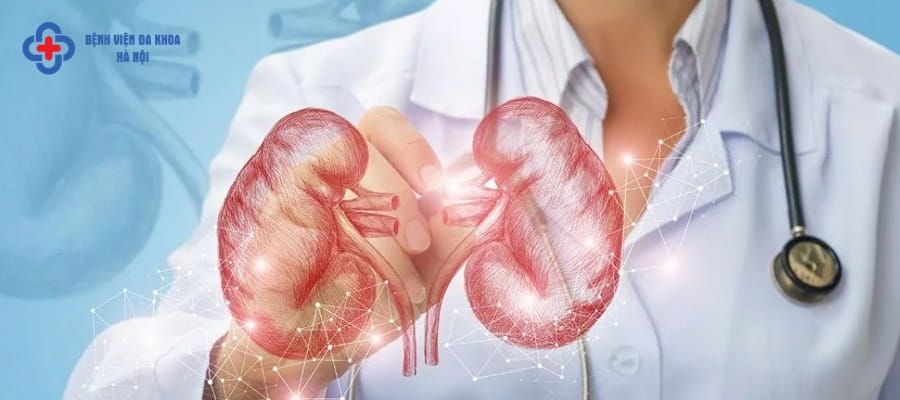 Khám bệnh viêm đường tiết niệu ở đâu tốt nhất? Khám bệnh viêm đường tiết niệu ở đâu tốt nhất?