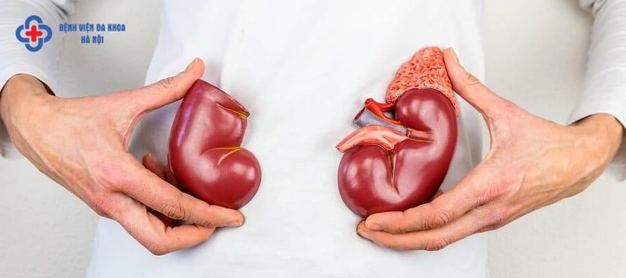 Chăm sóc sau mổ sỏi thận có quan trọng không? Chăm sóc sau mổ sỏi thận có quan trọng không?