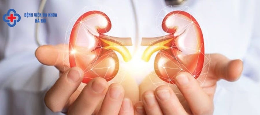 Sỏi thận ảnh hưởng tới sinh lý nam giới soi than co anh huong sinh san