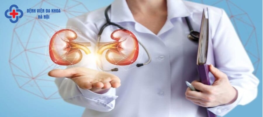 Khám hệ tiết niệu được thực hiện khoa học