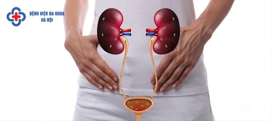 Nhiễm khuẩn đường tiết niệu
