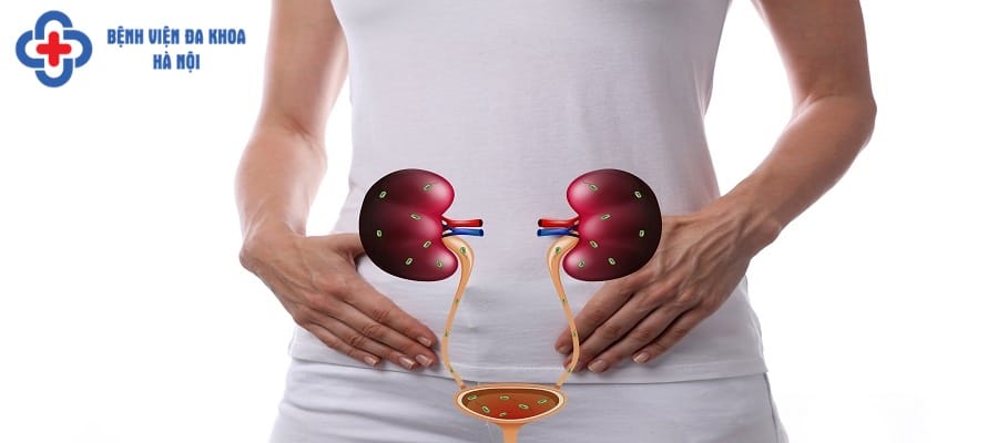 Nhiễm khuẩn tiết niệu có thể gây biến chứng nguy hiểm