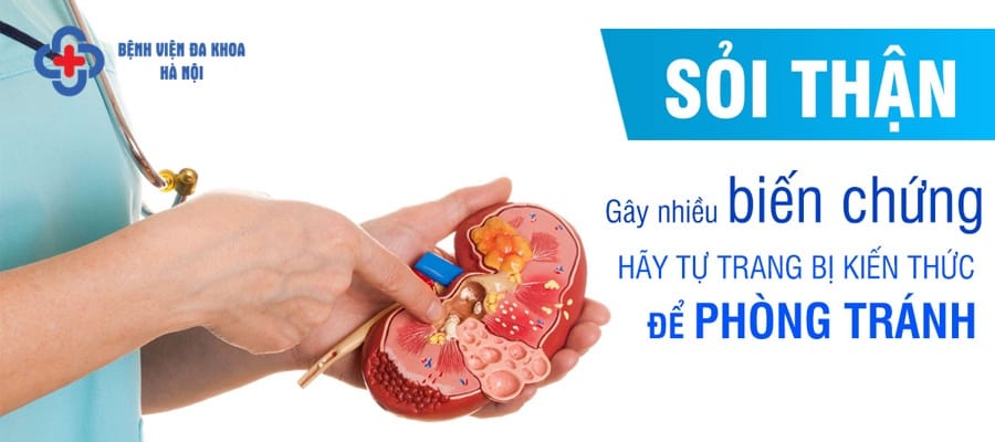 Sỏi thận là căn bệnh thường gặp ở tuổi trung niên