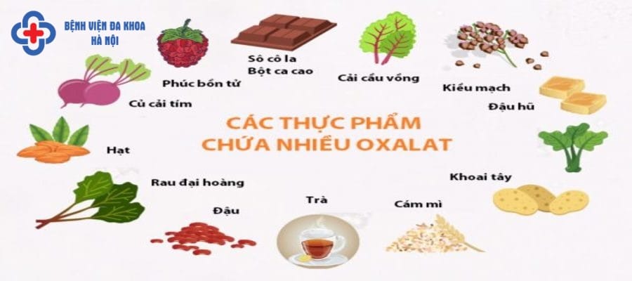 Thực phẩm chứa hàm lượng lớn oxalat