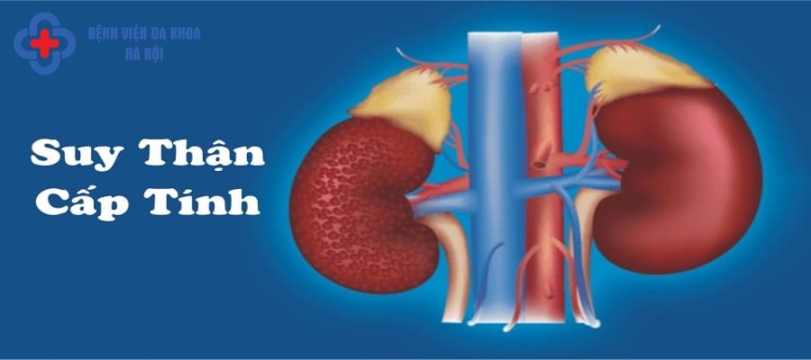 Viêm bàng quang gây biến chứng suy thận cấp tính