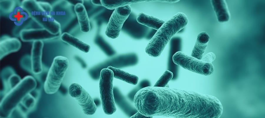 Viêm đường tiết niệu do vi khuẩn E.Coli sẽ dễ dàng lây nhiễm