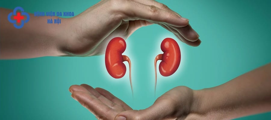 Sỏi thận tiết niệu là căn bệnh phổ biến