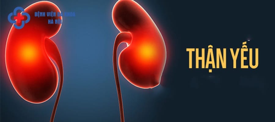 Thận suy giảm chức năng ảnh hưởng tới khả năng kiểm soát nước tiểu