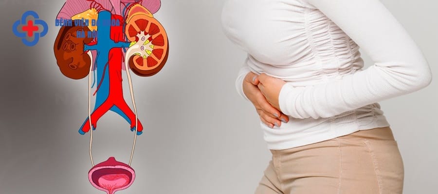 Viêm đường tiết niệu là tình trạng vi khuẩn xâm nhập vào hệ tiết niệu