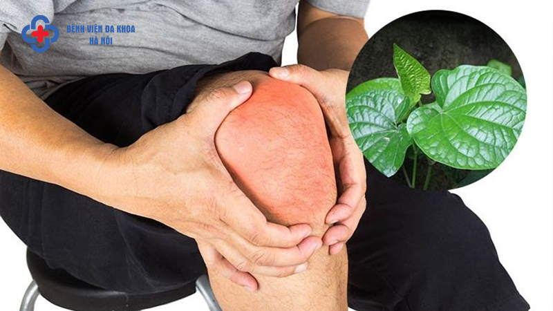 tác dụng của lá lốt
