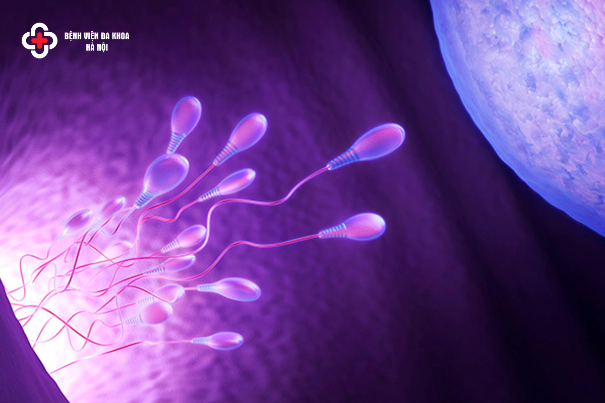 Chi phí làm IVF sẽ nhỉnh hơn so với IUI khi xét các yếu tố như quy trình, trang thiết bị, tỷ lệ thành công,..