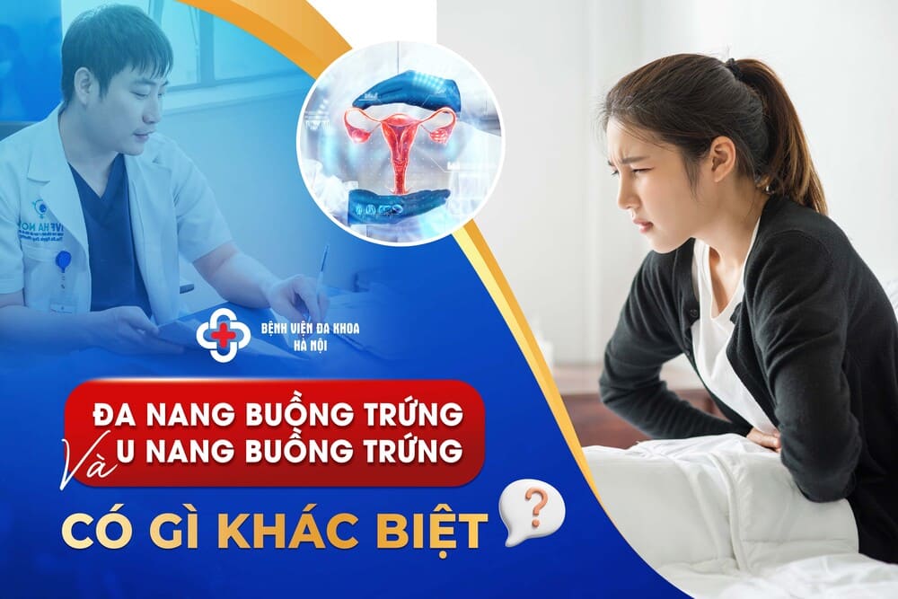 Đa Nang Buồng Trứng Và U Nang Buồng Trứng Có Gì Khác Biệt