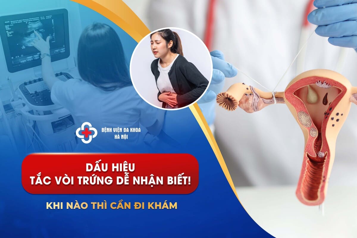 Tắc Vòi Trứng: Tất Tần Tật Thông Tin Cần Biết 2024