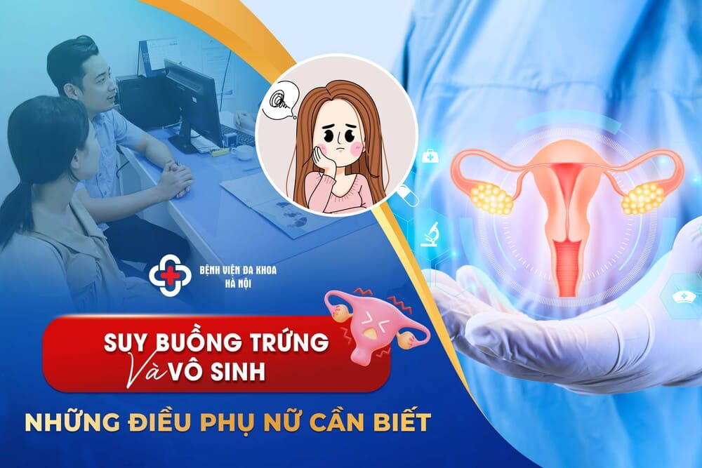 Suy Buồng Trứng Và Vô Sinh: Những Điều Phụ Nữ Cần Biết