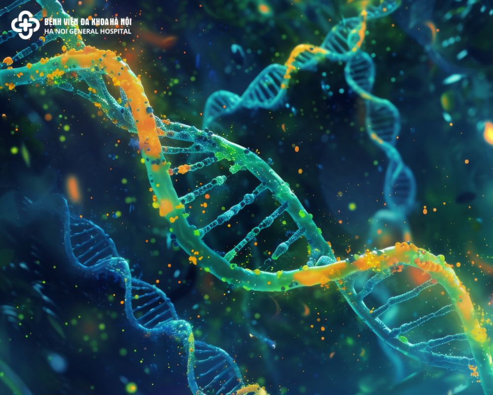 Xét Nghiệm DNA