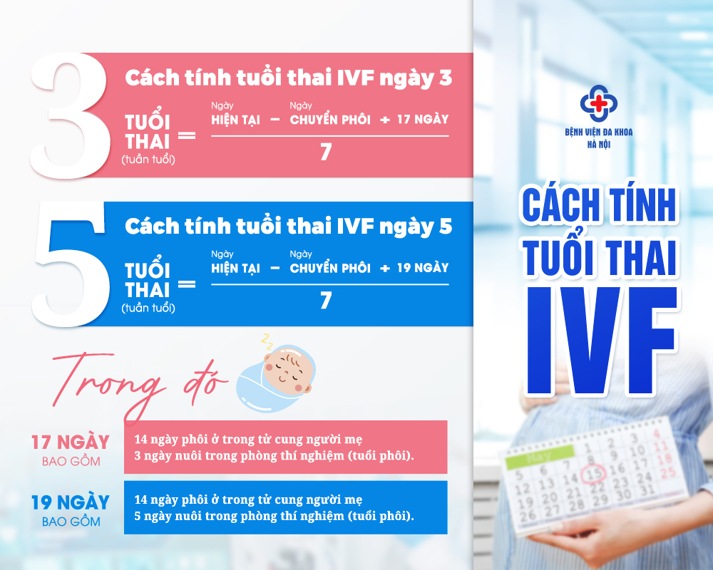 CÁCH TÍNH TUỔI THAI IVF