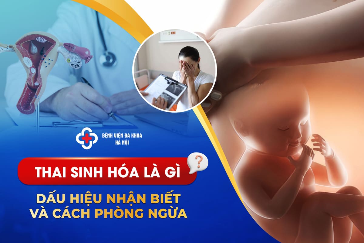 Thai Sinh Hóa Là Gì? Dấu Hiệu Nhận Biết Và Cách Phòng Ngừa