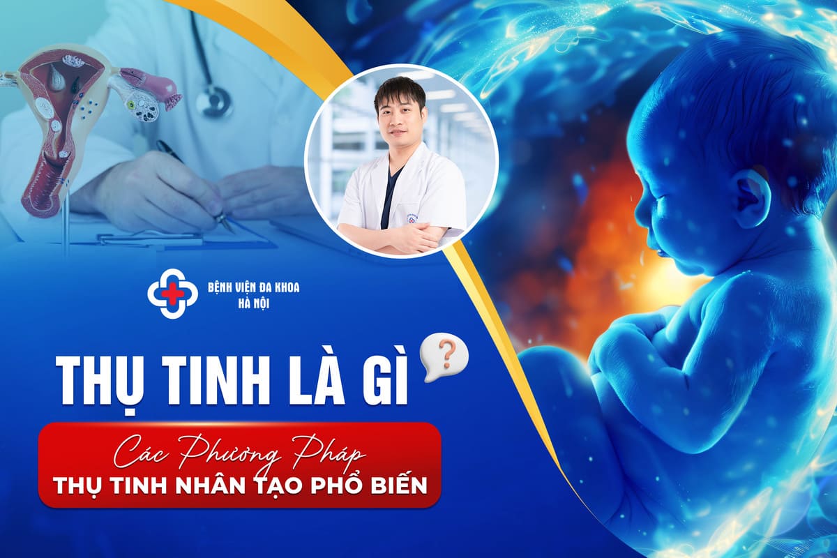 Thụ Tinh Là Gì? Các Phương Pháp Thụ Tinh Nhân Tạo Phổ Biến