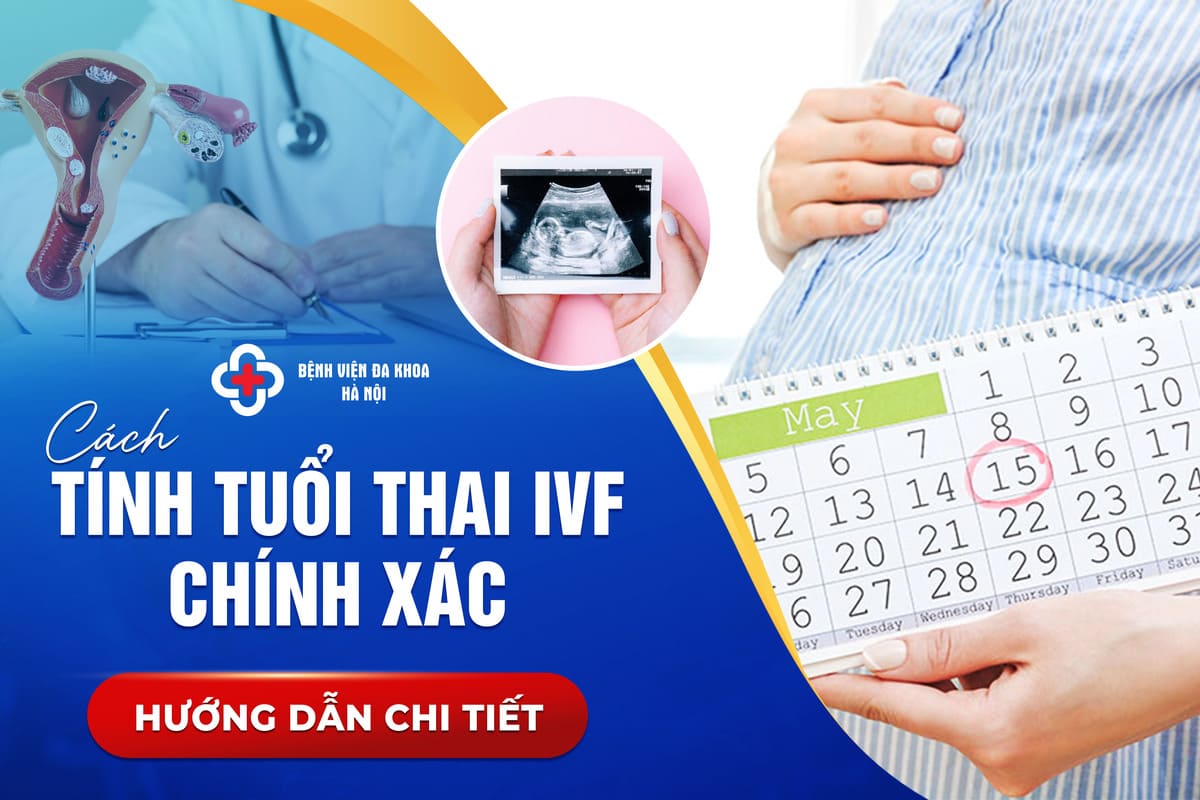 Tính tuổi thai ivf