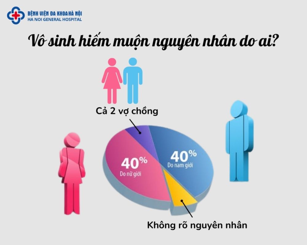 Vô sinh hiếm muộn do ai?