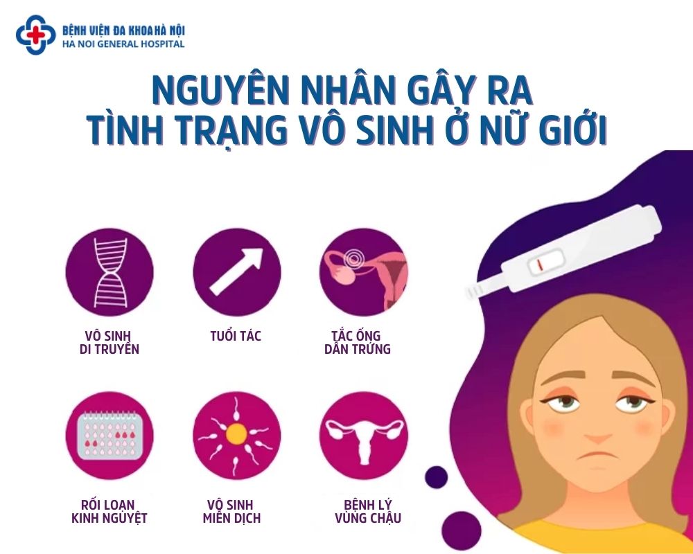 Vô sinh ở nữ giới thường liên quan đến các vấn đề bệnh lý và yếu tố sinh học
