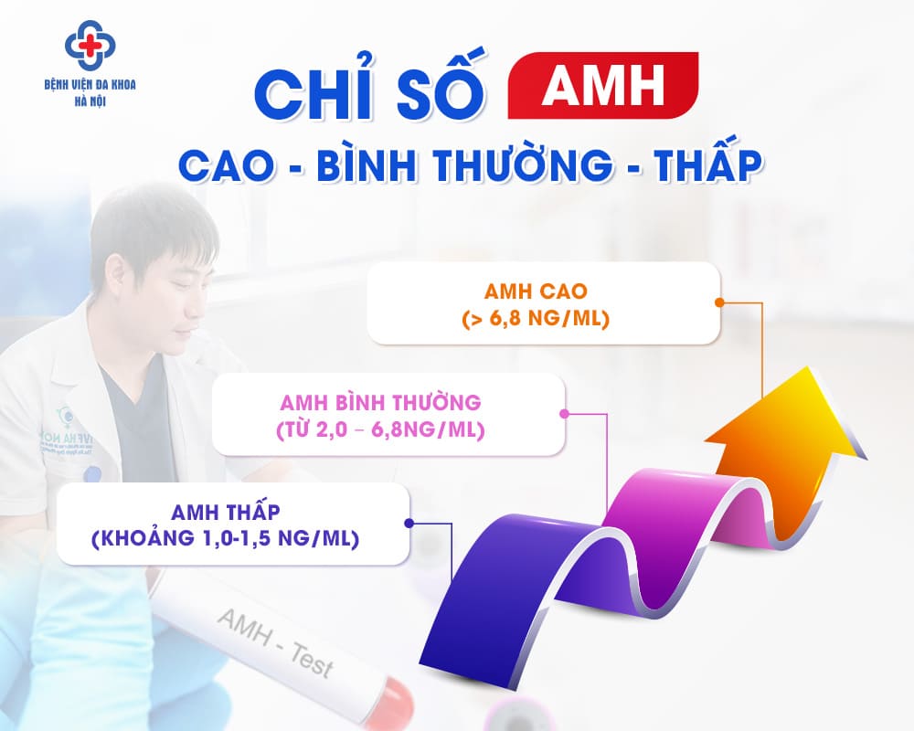 Chỉ số AMH được phân thành 3 loại thấp - bình thường - cao