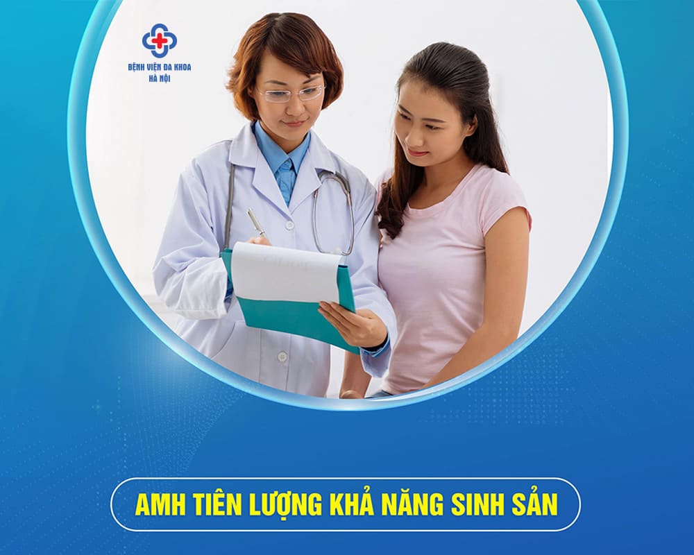 AMH là gì