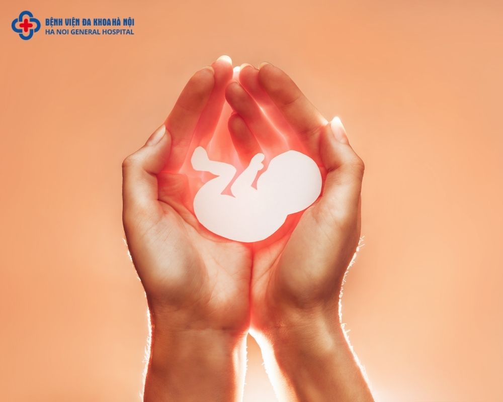 Ý nghĩa của chuyển phôi là gì?