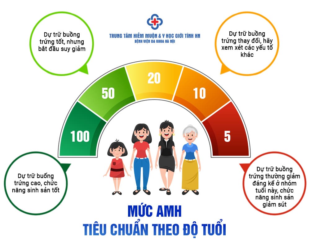 Thông tin về chỉ số AMH theo từng độ tuổi